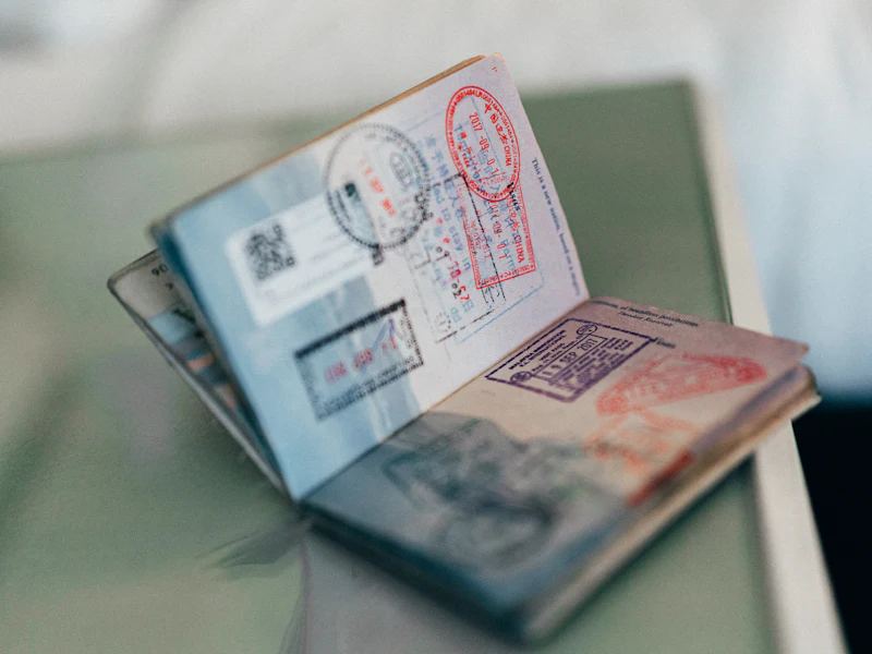 Open passport filled with immigration and visa stamps